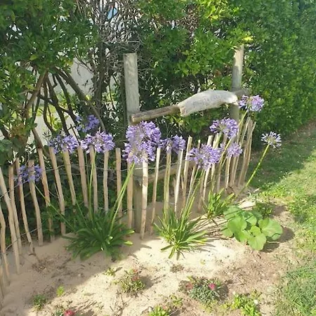 Maison De : Bord De Σπίτι διακοπών Saint-Pierre-d'Oleron